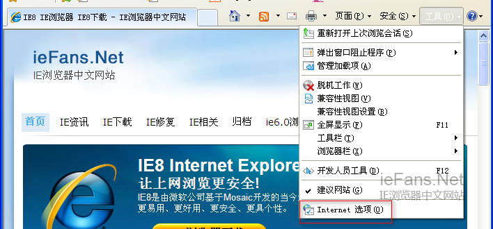 IE8 Internet选项